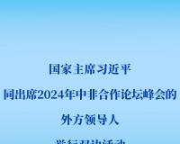 新华社权威快报 | 习近平同出席2024年中非合作论坛峰会的外方领导人举行双边活动